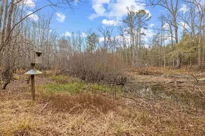 Tbd 183 Acres Blakely Rd., Salters, SC 29590 - Photo 13