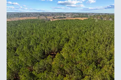 Tbd 183 Acres Blakely Rd., Salters, SC 29590 - Photo 35