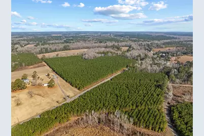 Tbd 183 Acres Blakely Rd., Salters, SC 29590 - Photo 29