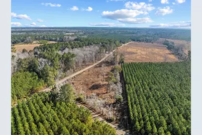 Tbd 183 Acres Blakely Rd., Salters, SC 29590 - Photo 31