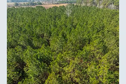 Tbd 183 Acres Blakely Rd., Salters, SC 29590 - Photo 39