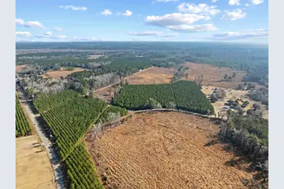 Tbd 183 Acres Blakely Rd., Salters, SC 29590 - Photo 27