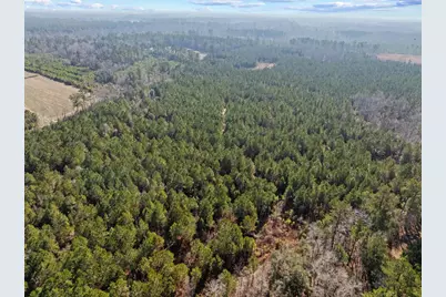 Tbd 183 Acres Blakely Rd., Salters, SC 29590 - Photo 37