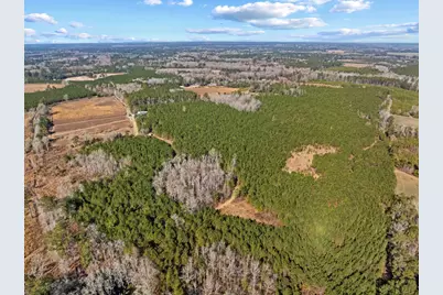 Tbd 183 Acres Blakely Rd., Salters, SC 29590 - Photo 33