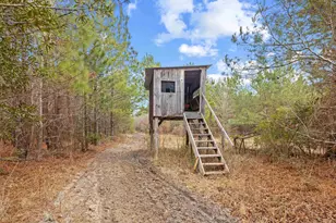 Tbd 183 Acres Blakely Rd, Salters, SC 29590 - Photo 1
