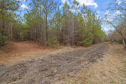 Tbd 183 Acres Blakely Rd., Salters, SC 29590 - Photo 9