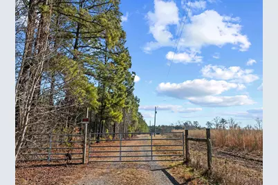 Tbd 183 Acres Blakely Rd., Salters, SC 29590 - Photo 15