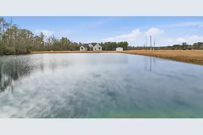 867 Dog Bluff Rd., Galivants Ferry, SC 29544 - Photo 57