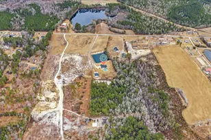 867 Dog Bluff Rd, Galivants Ferry, SC 29544 - Photo 73