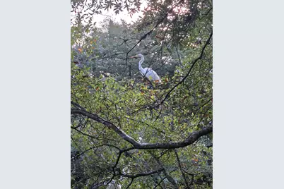 337 Clam Shell Circle, Garden City, SC 29576 - Photo 37