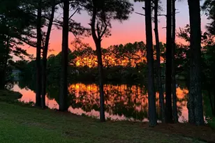 818 Foxtail Dr, Longs, SC 29568 - Photo 33