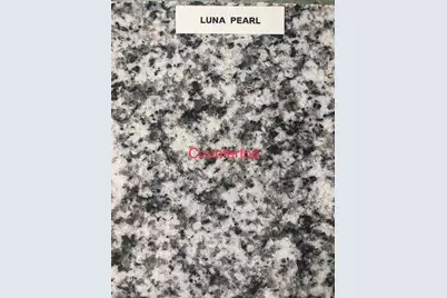 2532 Harvey Rd., Loris, SC 29569 - Photo 19