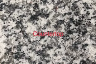 2532 Harvey Rd, Loris, SC 29569 - Photo 19