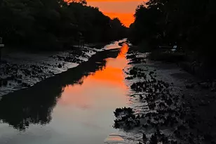 449 East Bank Dr, Murrells Inlet, SC 29576 - Photo 43