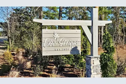 719 Hadara Dr, Longs, SC 29568 - Photo 33