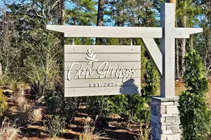 719 Hadara Dr, Longs, SC 29568 - Photo 33