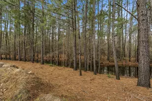 3566 Steamer Trace Rd, Conway, SC 29527 - Photo 37