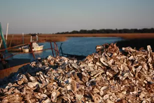 566 Yucca Ave, Garden City Beach, SC 29576 - Photo 47