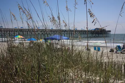 566 Yucca Ave., Garden City Beach, SC 29576 - Photo 45