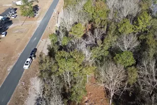 626 Goretown Loop, Loris, SC 29569 - Photo 25