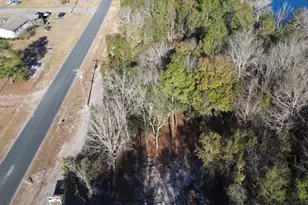 634 Goretown Loop, Loris, SC 29569 - Photo 29