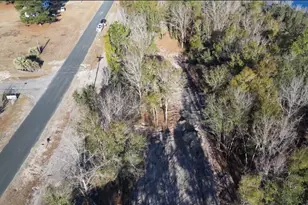 652 Goretown Loop, Loris, SC 29569 - Photo 27