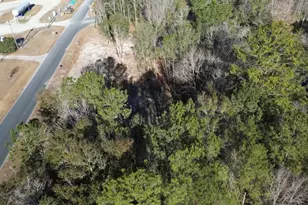 652 Goretown Loop, Loris, SC 29569 - Photo 31