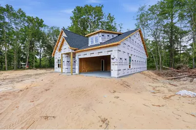 664 Goretown Loop, Loris, SC 29569 - Photo 3