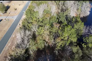 642 Goretown Loop, Loris, SC 29569 - Photo 27