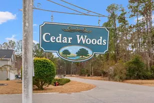 141 Red Cedar Ave, Myrtle Beach, SC 29588 - Photo 33