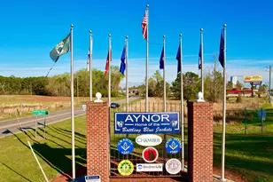 3763 Bakers Chapel Rd, Aynor, SC 29511 - Photo 53