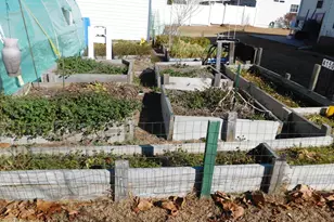 1121 Augustus Dr, Conway, SC 29527 - Photo 31