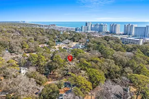 203 Baslow Ct, Myrtle Beach, SC 29572 - Photo 3