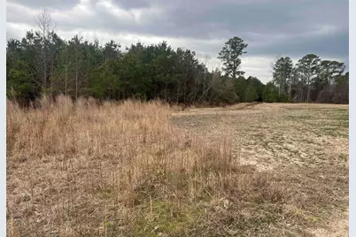 Centerville Rd., Latta, SC 29565 - Photo 7