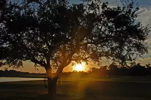 2987 Luvan Blvd, Georgetown, SC 29440 - Photo 53