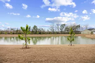 1141 Blueback Herring Wy, Conway, SC 29526 - Photo 33