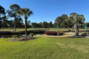 4733 Wild Iris Dr, Myrtle Beach, SC 29577 - Photo 41