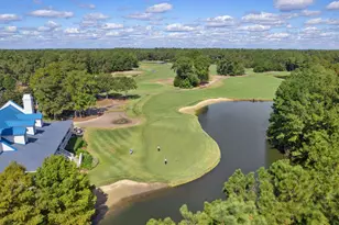 971 Blue Stem Dr, Pawleys Island, SC 29585 - Photo 33