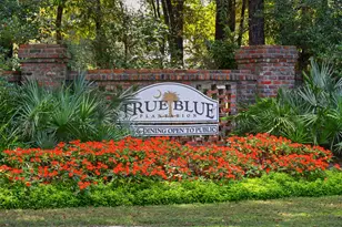 971 Blue Stem Dr, Pawleys Island, SC 29585 - Photo 25