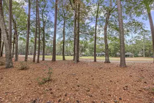 146 Stillwood Dr, Pawleys Island, SC 29585 - Photo 33