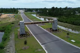 931 Hibernation Wy, Conway, SC 29526 - Photo 21