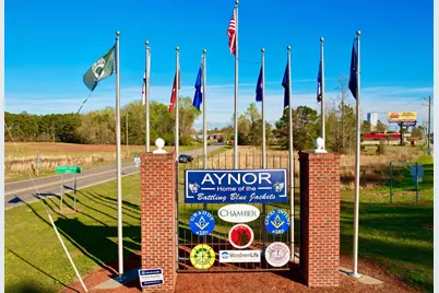 6870 Clay Hill Rd., Galivants Ferry, SC 29544 - Photo 53