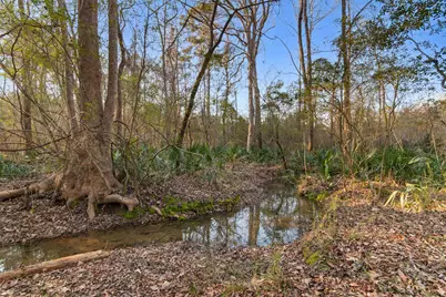 6870 Clay Hill Rd., Galivants Ferry, SC 29544 - Photo 39