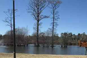 4526 N Planatation Harbour Dr, Little River, SC 29566 - Photo 37