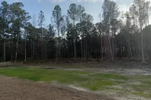 1257 Bill Hooks Rd, Whiteville, NC 28472 - Photo 19