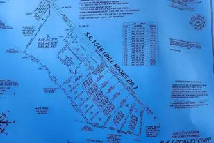 1257 Bill Hooks Rd, Whiteville, NC 28472 - Photo 21