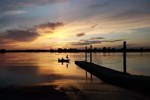 104 Wild Flower Trail, Pawleys Island, SC 29585 - Photo 51