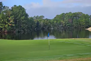 104 Wild Flower Trail, Pawleys Island, SC 29585 - Photo 59