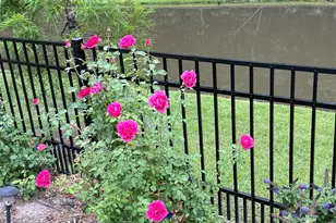 118 Rnch Hvn Dr, Murrells Inlet, SC 29576 - Photo 57