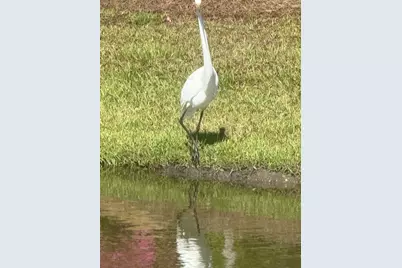 118 Ranch Haven Dr., Murrells Inlet, SC 29576 - Photo 61